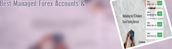 Best forex broker for pamm accounts in india