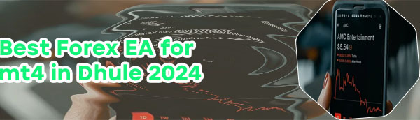 Best forex brokers 2024 in india