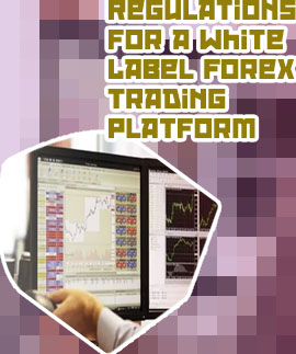 Forex broker regulators