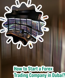 How to set up a forex trading company india
